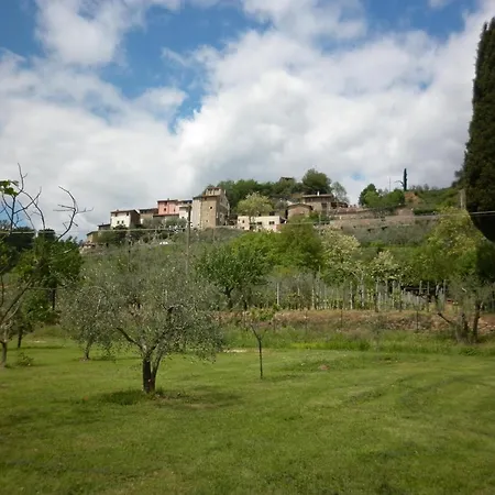 Apartment Azienda Agricola Lo Zolfino